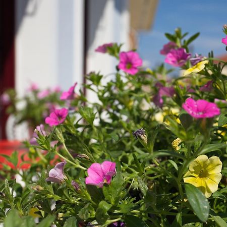 Casa Di Fiori Apartment Lefkada City ภายนอก รูปภาพ